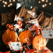 Bat and Pumpkin Chocolate Lollipops x6