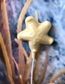 star fish