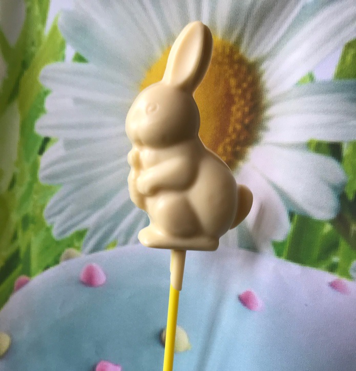 Hopping Bunny Chocolate Lollipop - A Little Gift of Love