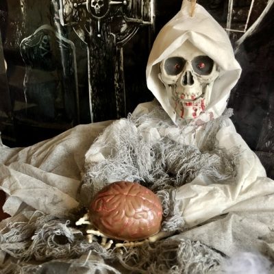 Biscoff Crispy Milk Chocolate Brain