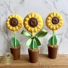 Chocolate Sunflower with chocolate pot