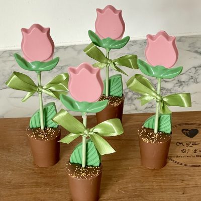 Chocolate Tulip with chocolate Pot