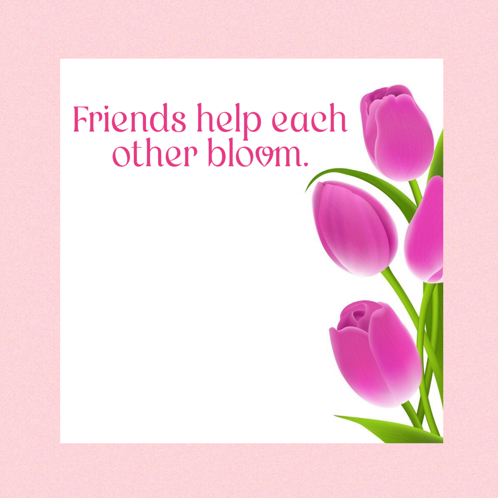 Chocolate Tulip with chocolate Pot - Image 5