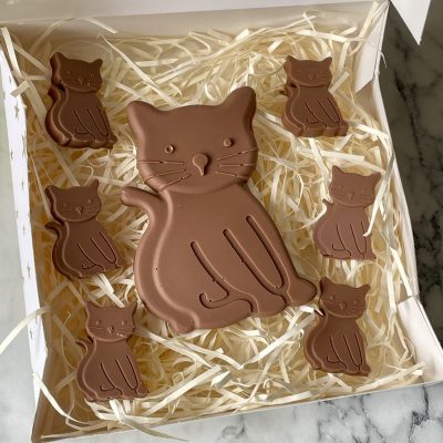 Cat and Kittens Chocolate Gift Box