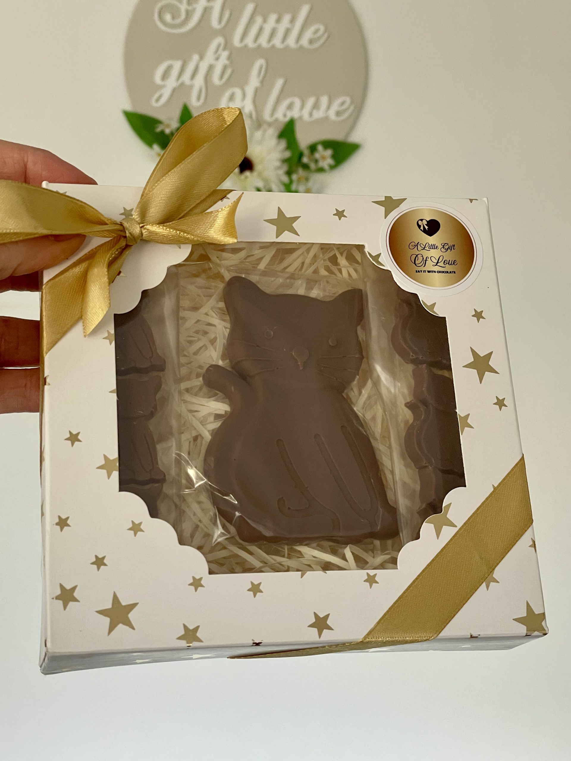 Cat and Kittens Chocolate Gift Box - Image 3
